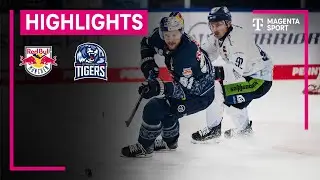 EHC Red Bull München - Straubing Tigers | PENNY DEL | MAGENTA SPORT