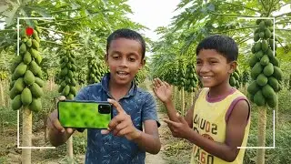 The REAL Difference Between a Village Garden and a Paradise