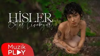 Bet&uuml;l &Ccedil;i&ccedil;ekyurt - Hisler (Official Video)