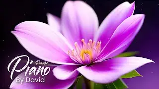 Feel the inner peace with David's calming piano sounds