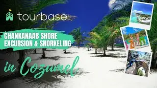 Cozumel Tourbase - Chankanaab Shore Excursion & Snorkeling