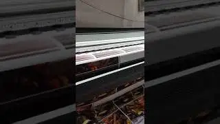 My new flex machine printing first print