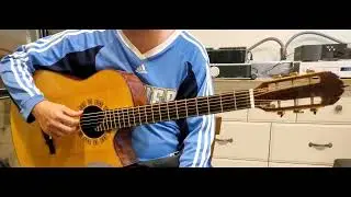 Ervin Somogyi Mod-D Bearclaw European Spruce/