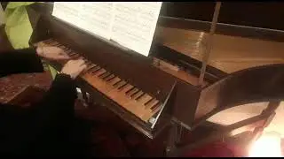 Cuperin: Les Barricades Mysterieuses #clavecin #barocmusic #couperin #harpsicord