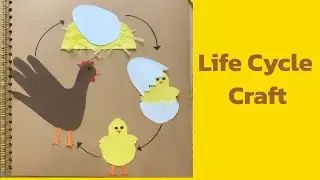 Life cycle Craft/Kids Crafts & Scrapbooking #9