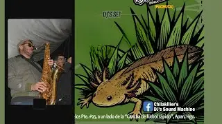 Mexican Nutty Stompers &ndash; &ldquo;You&rsquo;ve Made Me So Very Happy&rdquo; | Ska en el Altiplano Vol. 1 | FURTIVOS
