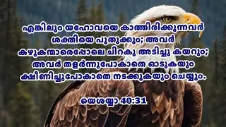 You will regain your strength|നീ വീണ്ടും ശക്തി പ്രാപിക്കുംl|Today's Living Manna| Gideons Ministries