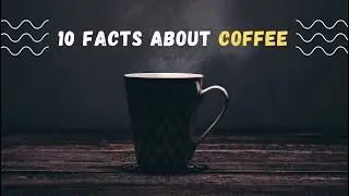 10 Facts About Coffee