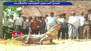 Exclusive Video | Crocodile Hulchul in Darapur Village | Uttar Pradesh | HMTV