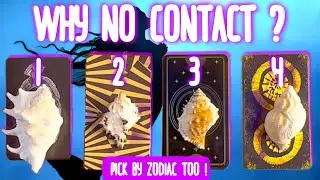 Why No CONTACT? 🤫 Will They Reach Out ? | Pick A Card | Psychic Tarot Reading