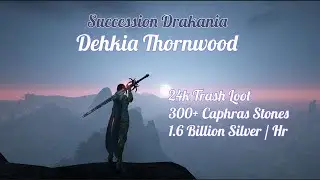 BDO | Dehkia Thornwood - Succession Drakania | 24k TL (L2), 300+ Caphras, 1.6b Silver