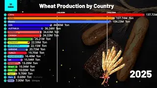 Wheat Production by Country (1960&ndash;2025) 🌾📈 | Global Farming Evolution Explained!