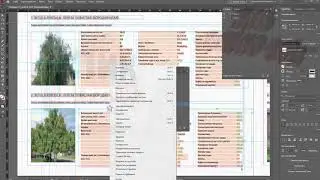 Workflow. InDesign.ТЭГИ и Экспорт в xml