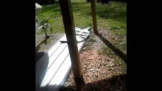 Spider dad gets revenge on his poor children