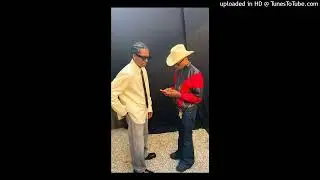ASAP Rocky, Pharrell Williams - Disturbing the P