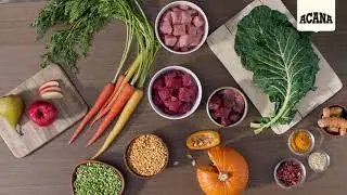 ACANA Premium Pet Food - Go Beyond the First Ingredient