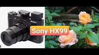 Review sony HX99