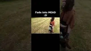 Fade Into...