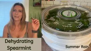 Drying Fresh Spearmint with a Dehydrator: A How-To Guide