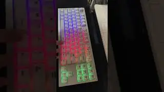 아콘 fx 체리청축 타건2