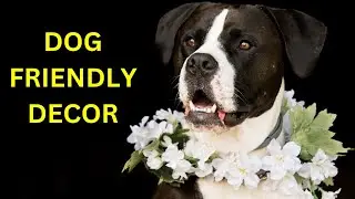 Unleash the Fur-bulous: Dog-Friendly Decor & Plant Paradise