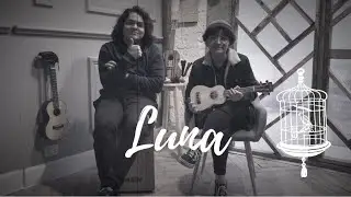 Luna - Zoe (tutorila ukulele)