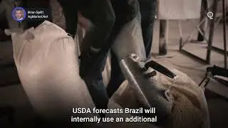 Will Brazil&rsquo;s Bumper Corn Crop Challenge US Exports? | Presented by CME Group