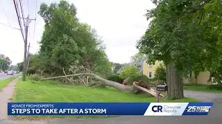Consumer Reports: What to do after a storm