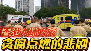 3.3亿烧出贪腐大案！香港大埔火灾背后的人祸真相！！#香港#大埔火灾