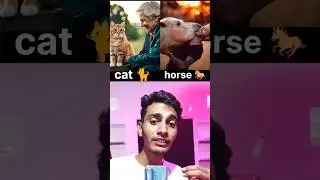 Which of these animals has good bonding with humans?🤔🐕 #shortsfeed #animals #youtubeshorts
