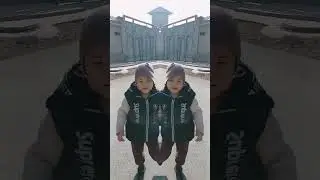 #близнецы #Муси #природа #смешноевидео