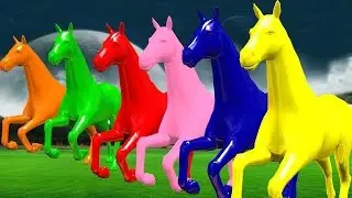 Horse Colourful Colour Song For Children Rhymes | Animated Nursery Rhymes | 4K Preschool Rhymes