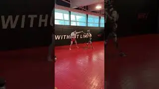 Nina Drama crashes Merab Dvalishvili secret UFC training #UFC #shorts #mma