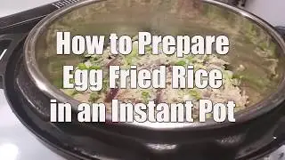 Chinese Fried Rice in Instant pot| Getting Started with Your Instant Pot | Pressure Luck 101