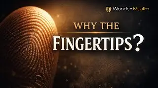 The Silent Witness: The Mystery of Your Fingertips #wondermuslim #facts #islamicwisdom #fingertips