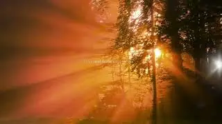 Povratak Bozanskoj Sustini