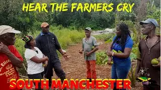 Hear the Farmers Cry in South Manchester/ Salmon Town