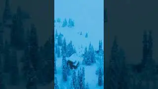 FREESTOCK #freestock #shorts #shortsvideo #shortsfeed #shortsviral #shortsyoutube #shortsbeta #fyp