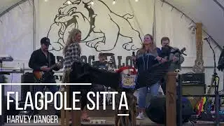 Spotted Zebra Plays Flagpole Sitta by Harvey Danger | Red Dog Saloon