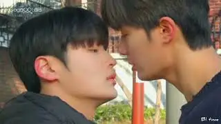 Blossom Campus _ Korean BL 💕 | Bl kiss