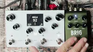 This or That: @MerisUs LVX vs @strymon Brig Dotted 8th Delay #dbucket #stereo #digital #shootout