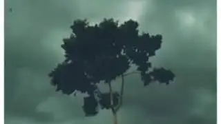 First rain status || rain whatsapp status || barish status || pahli parish status 2020 || rain 2020