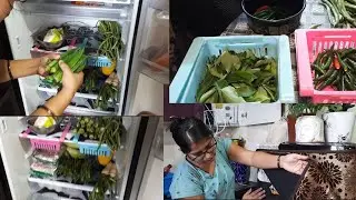 Fridge Cleaning | how to clean fridge | Deep clean Fridge