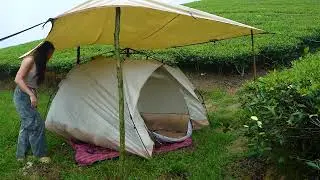SOLO OVERNIGHT CAMPING IN THE RAIN - RELAXING IN THE TENT WITH THE SATISFYING SOUND OF NATURE - ASMR
