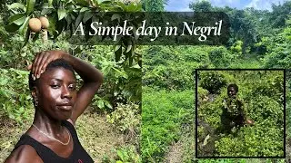 A Simple Day in Negril | Learning from the Land and Its Elders