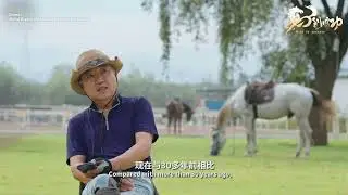Weihai Horse Farm: A glimpse into the 10th Anniversary of the China-ROK Free Trade Zone