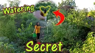 Watering A Food Forest Garden | Tips & Tricks To Save Time