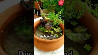 Diy Mini fish Pond | #ytshorts #diy #pond