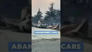 I'M PATROLLING Pasadena and Altadena AFTER WILDFIRES DESTROY HOMES!