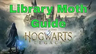 Hogwarts Legacy  - Moth Frame in the Library - Guide